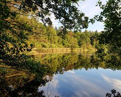 Christian Ries - Umgebung Lehmrade
