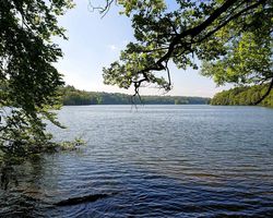 Christian Ries - Umgebung Lehmrade