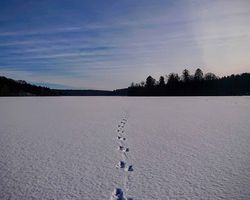Christian Ries - Umgebung Lehmrade